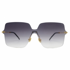 Dior Stellaire0319/S Catno.1